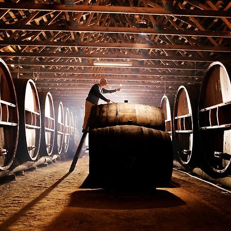 Pieter Van Gent Winery & Vineyard Budgee Budgee Εξωτερικό φωτογραφία