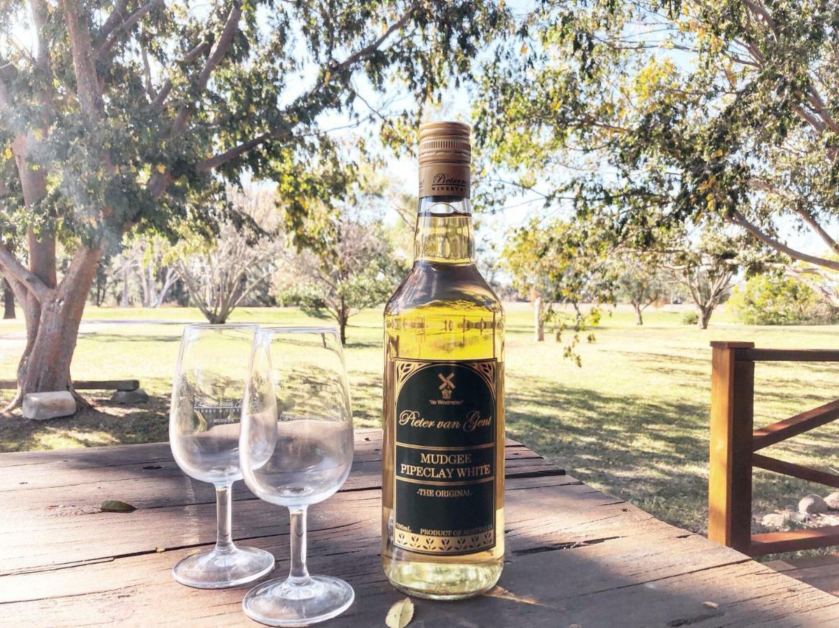 Pieter Van Gent Winery & Vineyard Budgee Budgee Εξωτερικό φωτογραφία